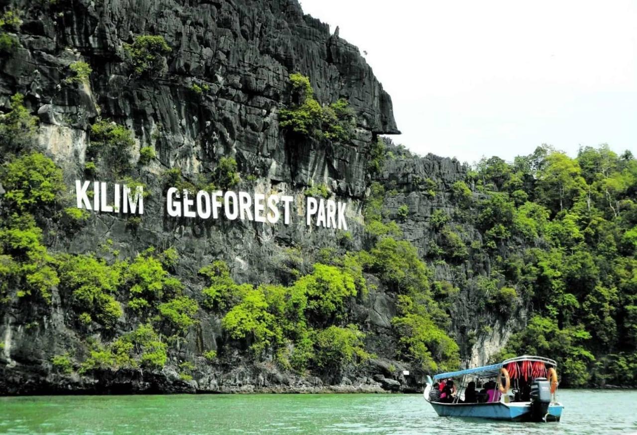 Jelajahi Keunikan Ekosistem Mangrove Langkawi dengan Mangrove Tour